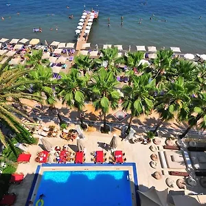 Отель Palm